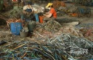 广东最大再生铜交易中心在清远签约 做大市场