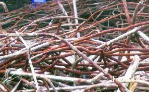 谎称卖废钢筋骗走11万 湖北籍逃犯南京作案一年后南通落网