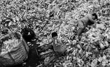 废塑料价格下跌 “破烂王”枕瓶酣睡