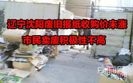 辽宁沈阳废旧报纸收购价未涨  市民卖废积极性不高