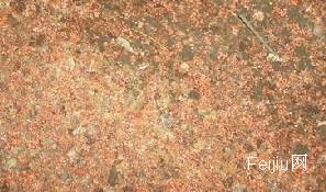 18万钨合金泥变煤灰 武汉一老板遭遇狸猫换太子