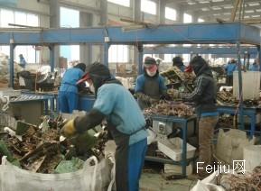 扬州废旧电子电器拆解行业  年点“金”千万