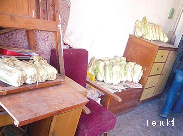 卖不了多少钱 扔了又挺可惜 废旧家具成“鸡肋”