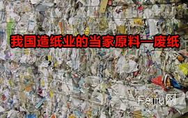 我国造纸业的当家原料—废纸