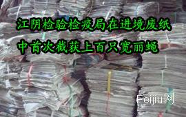 江阴检验检疫局在进境废纸中首次截获上百只宽丽蝇