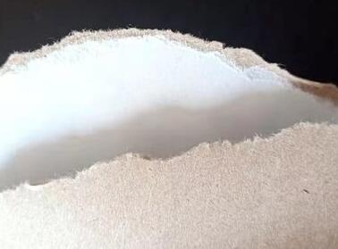 欧洲牛皮纸和纸袋行业碳足迹明显改善