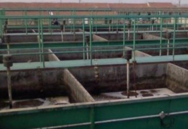 重庆填补榨菜行业水污染物排放标准的空白 重庆填补榨菜行业水污染物排放标准的空白