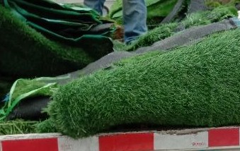 牛都不吃的草能代替塑料 你见过吗? 牛都不吃的草能代替塑料 你见过吗?