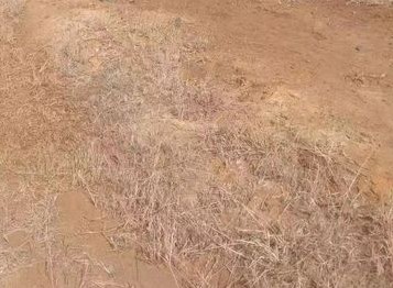 芜湖扎实有序地开展土壤污染防治工作