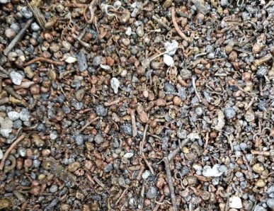 马来西亚进口废金属限制措施将提升