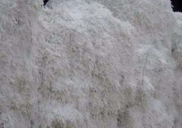 银川灵武农机中心多措并举加大残膜回收利用工作