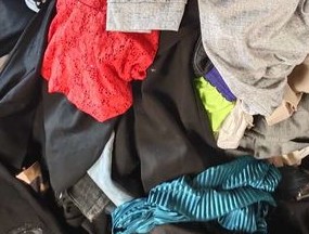 重庆将重点开展生态环保专项督察工作 重庆将重点开展生态环保专项督察工作