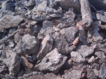 重庆“无废城市”试点建设从7个方面突围