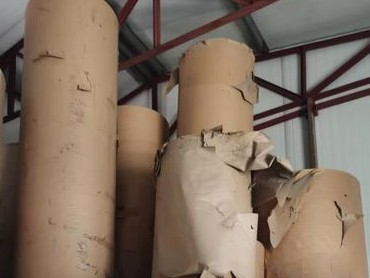 迈向碳中和 造纸业技术创新与绿色能源是关键 迈向碳中和 造纸业技术创新与绿色能源是关键