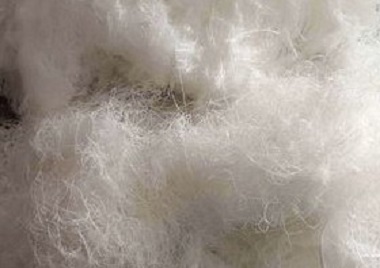 涤纶丝.jpg