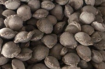 区域一体化发展是实现碳中和愿景重要途径之一 区域一体化发展是实现碳中和愿景重要途径之一