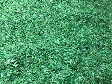 塑料污染或将到达不可逆转的临界点