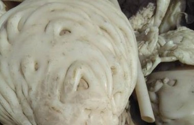 我国作为“垃圾场”的历史一去不复返 我国作为“垃圾场”的历史一去不复返