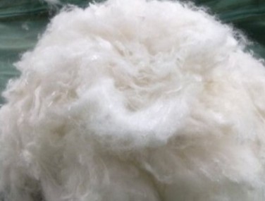 国内政策工具以维稳为主 棉花短期高位振荡 88.jpg