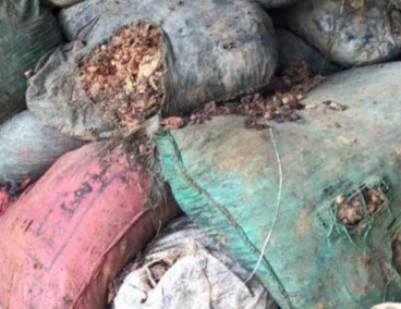 开封鼓楼破获一起危废跨省转移填埋案 开封鼓楼破获一起危废跨省转移填埋案