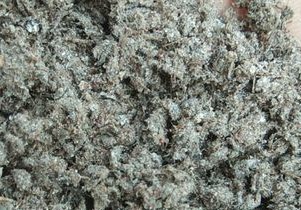 俄罗斯将成我国造纸工业纸浆重要供应商之一