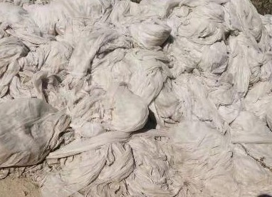 甘肃东乐加强秋季废旧农膜回收利用工作