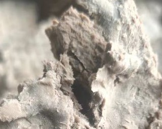 巴西成我国造纸原材料进口大国