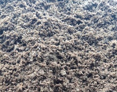 俄罗斯最大纸浆造纸公司2024年将提高对华产品出口