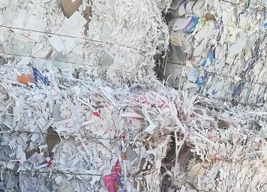 替代进口废纸 江西理文新项目开工