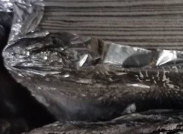 广东省环保产业发展简况(2021年) 广东省环保产业发展简况(2021年)