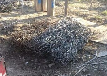 石家庄：努力打造“无废城市”样板