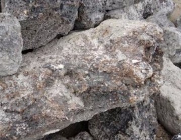 大连海关成功退运1400余吨固体废物