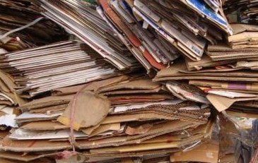 减税降费政策助力造纸企业绿色发展 减税降费政策助力造纸企业绿色发展