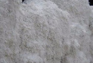 河北：到2025年农业面源污染得到初步管控