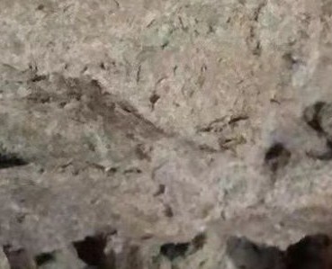 纸浆短期延续偏强格局 暂不建议做空