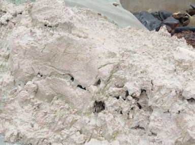 可持续城市发展的哈马碧模式将在中国落地