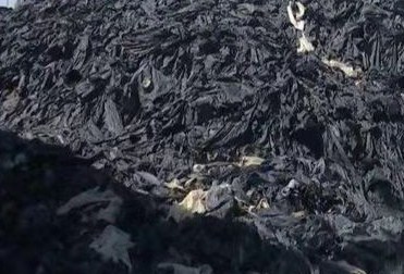 消除白色污染 甘州区小满镇三进三问三查