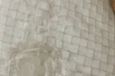 北京朝阳区太阳宫地区办事处对白色泡沫开展回收工作 Dingtalk_20220611151832.jpg