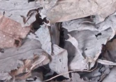 张掖山丹整治再生资源回收市场乱象问题