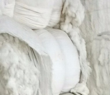 新疆沙雅棉田长势良好 棉农抓紧田间管理 80.jpg