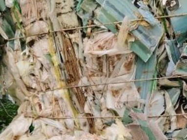 新泰持续推进黄河流域“清废行动”