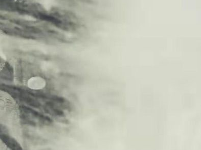 湖北南漳桑蚕养殖生产蚕丝 助力乡村振兴脱贫 茧丝.png