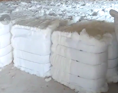 新疆石河子智能化、数字化农业机械种植棉花太漂亮 30.png